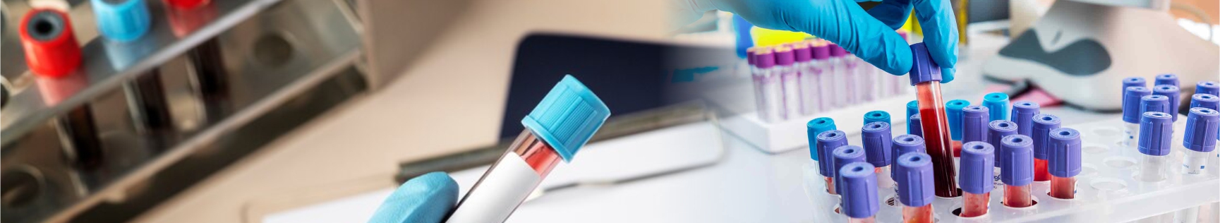 banner img
